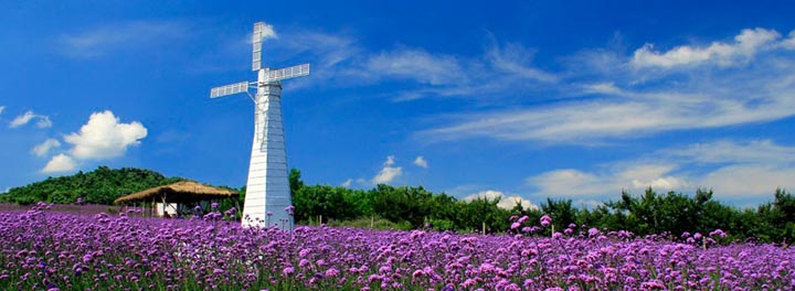 鄉(xiāng)村旅游規(guī)劃院：藍(lán)調(diào)薰衣草莊園旅游規(guī)劃鳥瞰圖