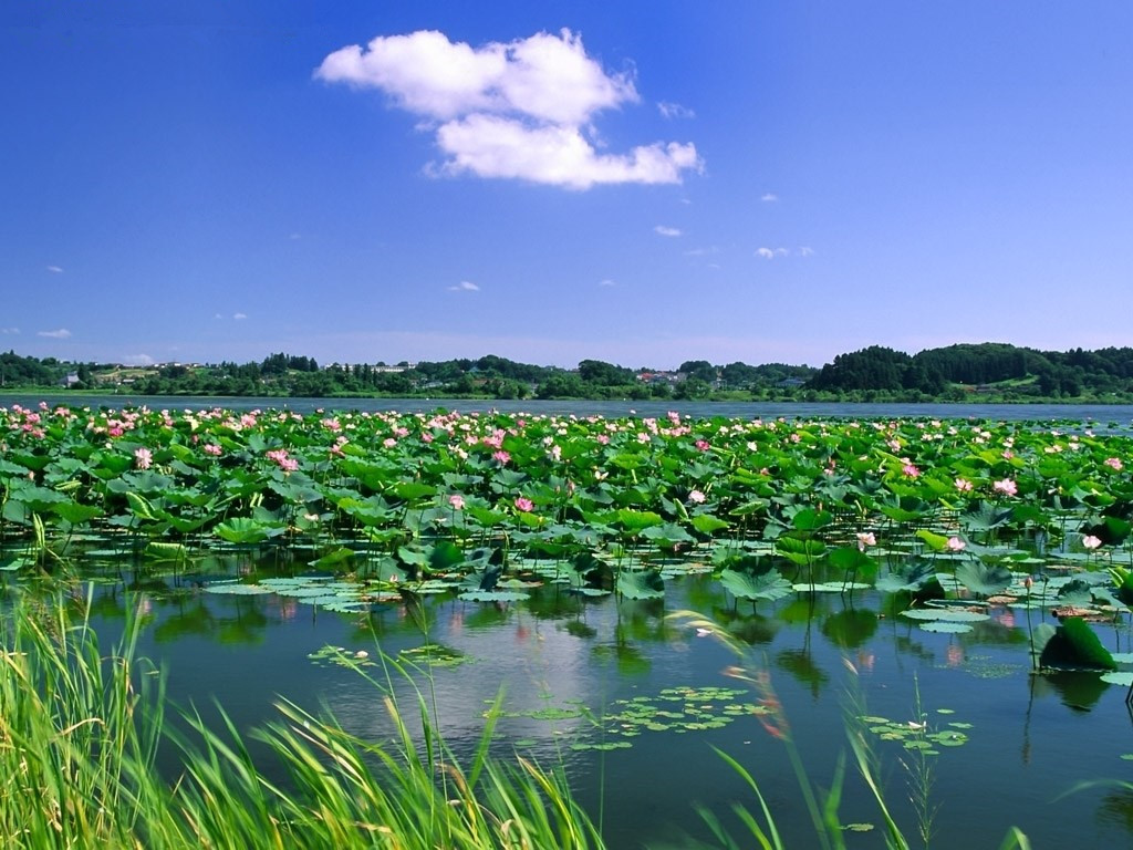 旅游項目開發(fā)流程