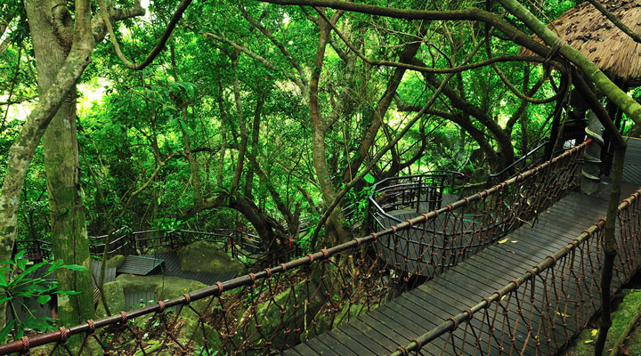 景區(qū)旅游規(guī)劃設(shè)計公司：海南呀諾達(dá)雨林文化旅游區(qū)十分注重生態(tài)旅游規(guī)劃